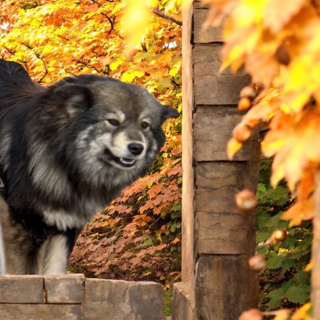 Umy Du Domaine Louchine